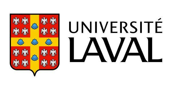 Laboratoire de vision et systèmes numeriques (LVSN)