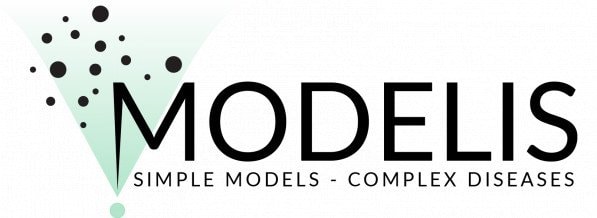 Modelis