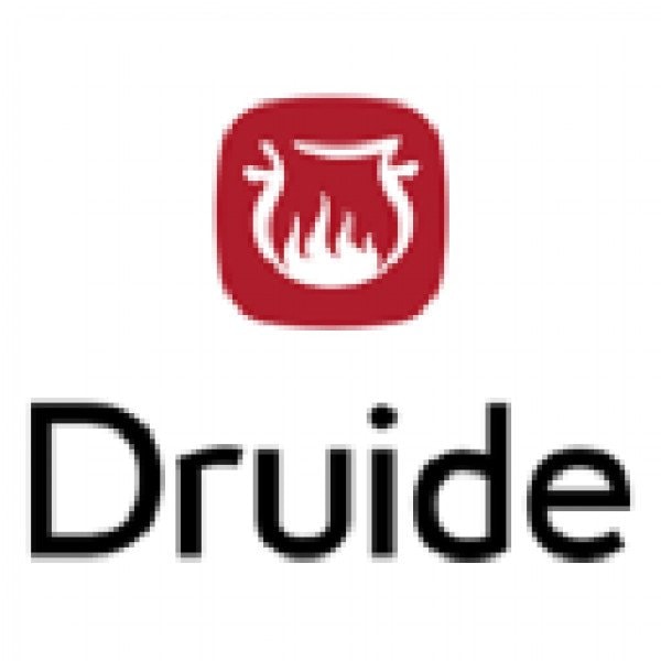 Druide informatique
