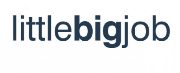 LittleBIGJob